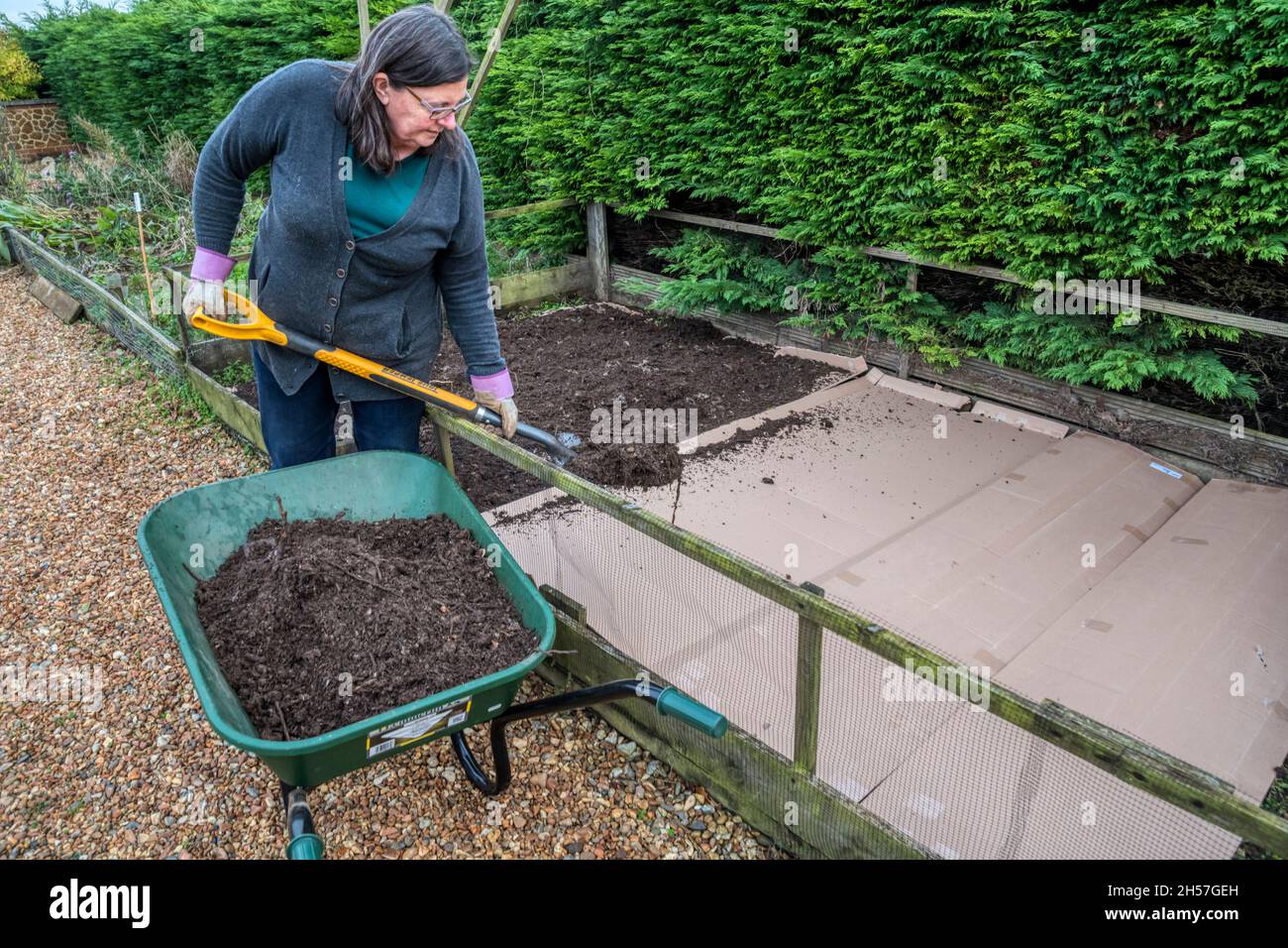 Keine Gartenarbeit. Frau schaufelt einen Kompostmulch auf Pappkartonplatten, die in einem Gemüsegarten über den Boden gestellt werden, um Unkraut zu unterdrücken und den Boden anzureichern Stockfoto