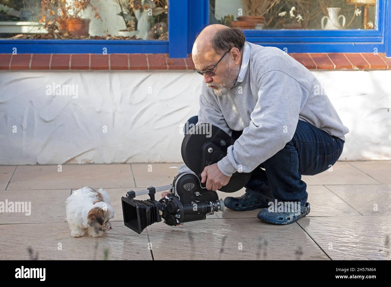 Älterer Mann, der Bolonka Zwetna mit 16-mm-Kamera filmte, bichon, Deutschland Stockfoto
