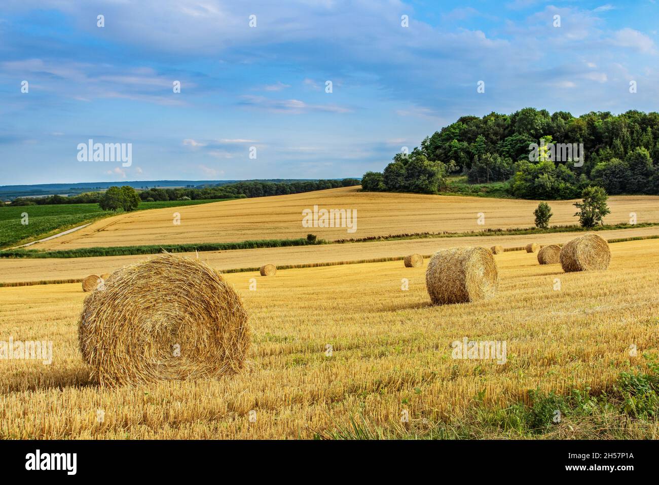 Gepackter Heuhaufen mit Feldhintergrund Stockfoto