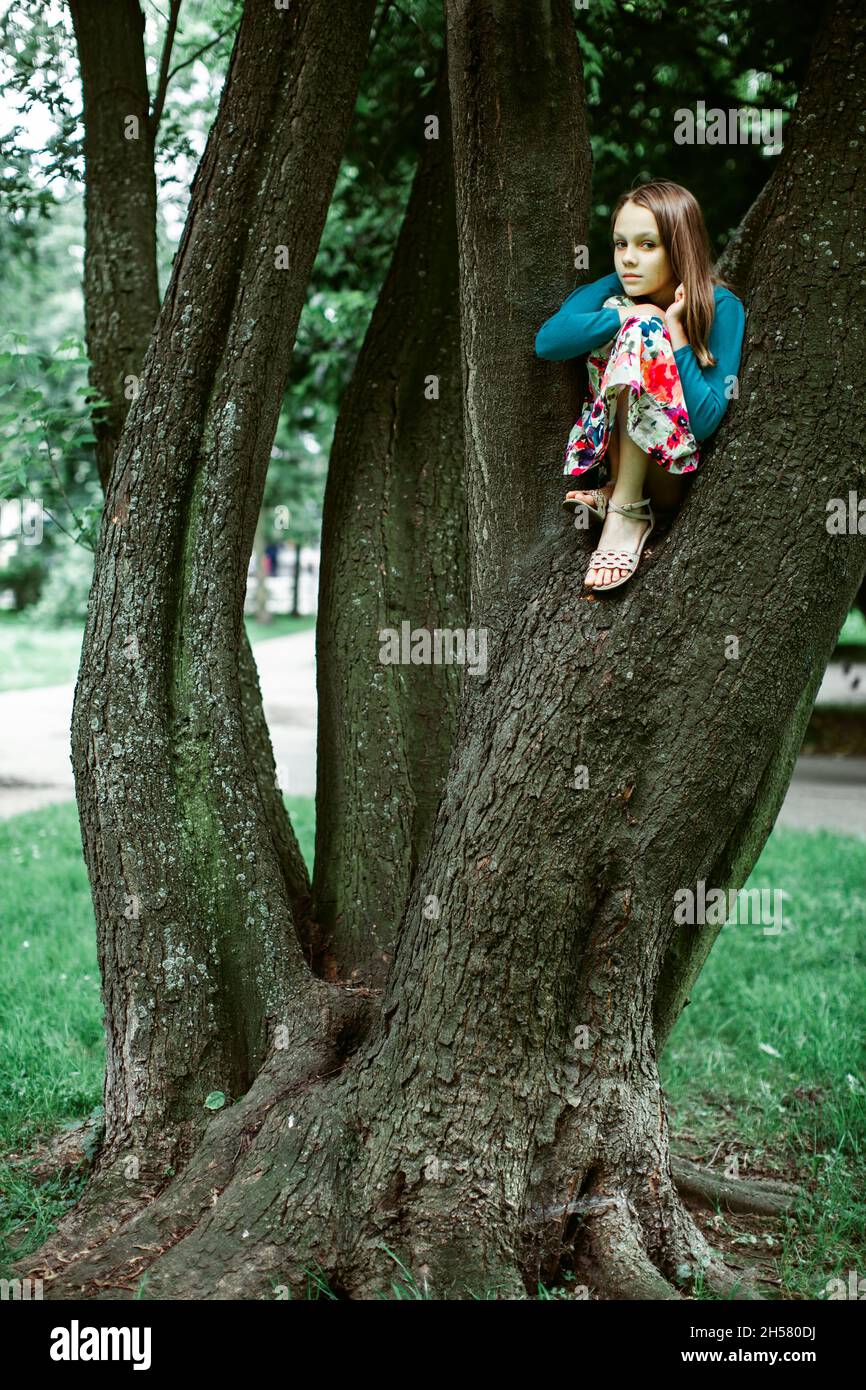 Teenager-Mädchen, das in einem Baum im Park sitzt. Stockfoto