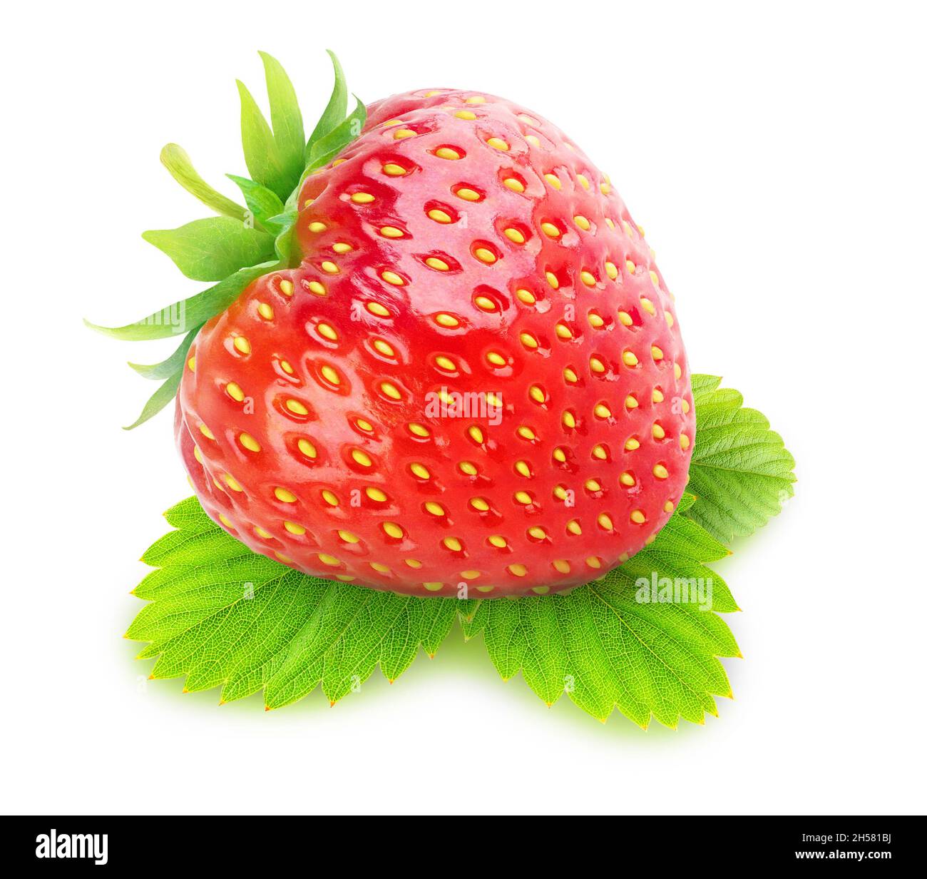 Isolierte Früchte. Eine rohe Erdbeere auf Blatt isoliert auf weißem Hintergrund Stockfoto
