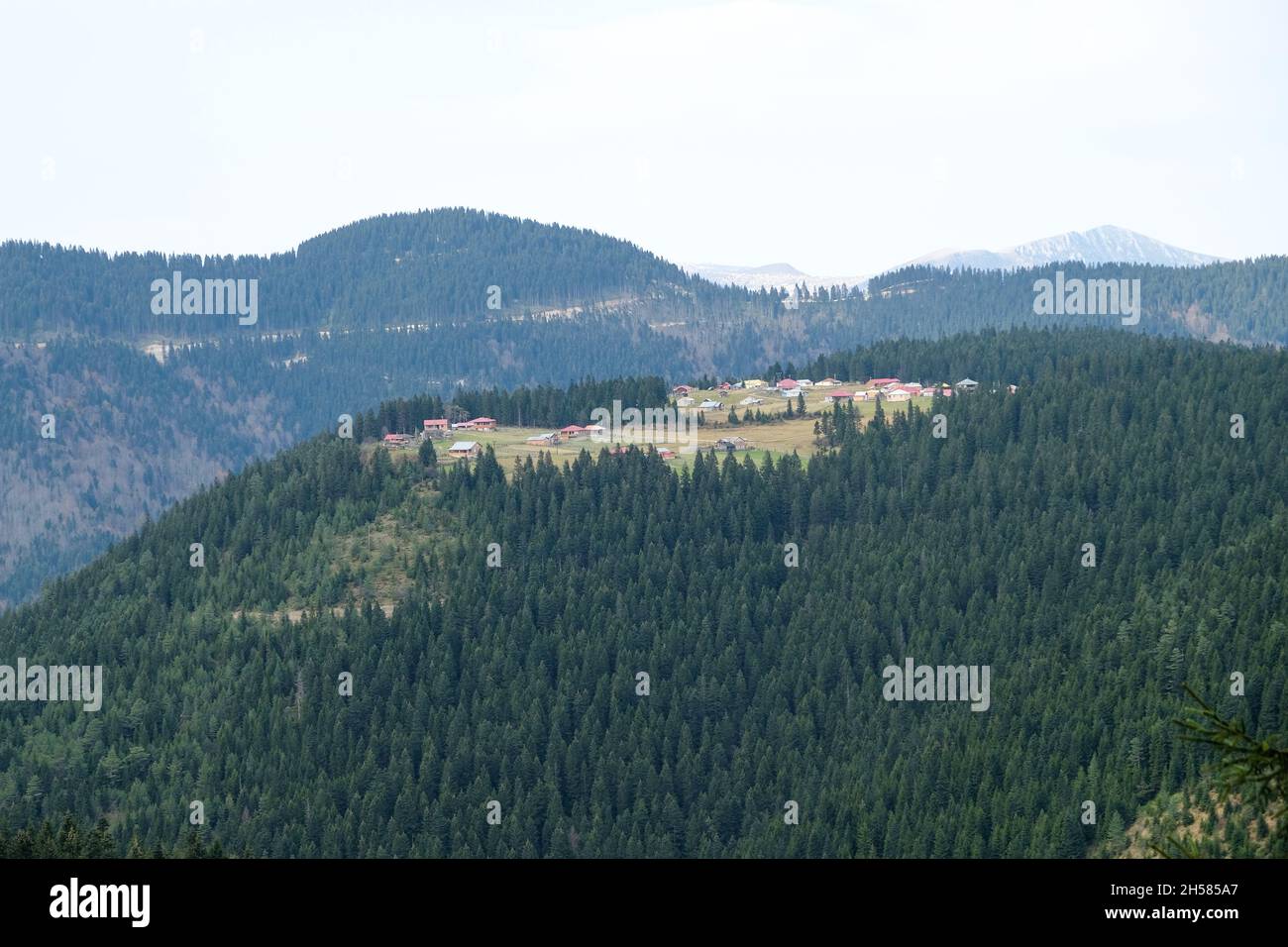 Das Hochplateau von Bodamişka liegt im Bezirk tonya der Provinz Trabzon Stockfoto