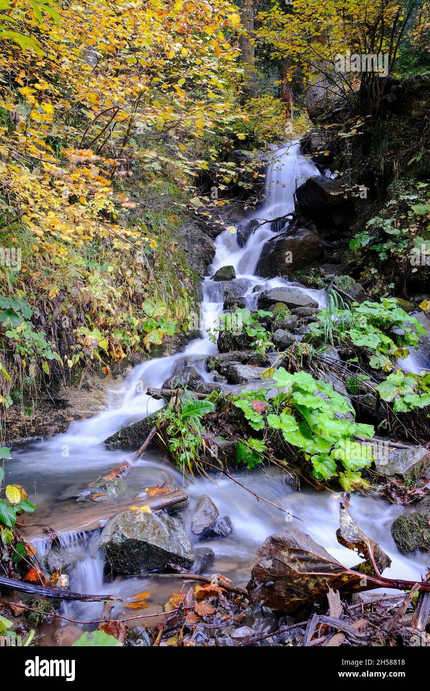 Der Bezirk Şavşat der Provinz Artvin bietet seinen Besuchern im Herbst mit seinen Bächen eine herrliche Aussicht. Stockfoto