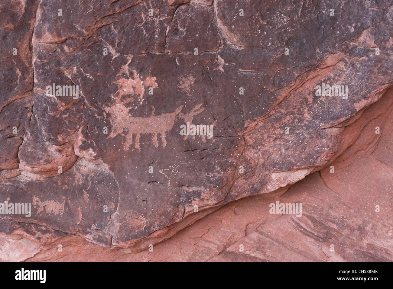 Historische Felszeichnungen von Indianern auf Atlatl Rock im Valley of Fire, USA Stockfoto