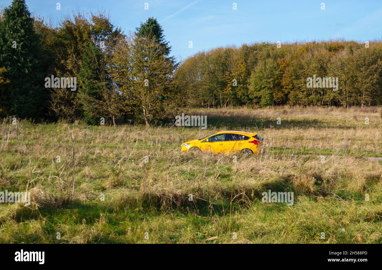 Hellgelbes Ford Focus ST-Fahrzeug, das durch die offene Landschaft von Wiltshire mit Wiesen und Wäldern fährt Stockfoto