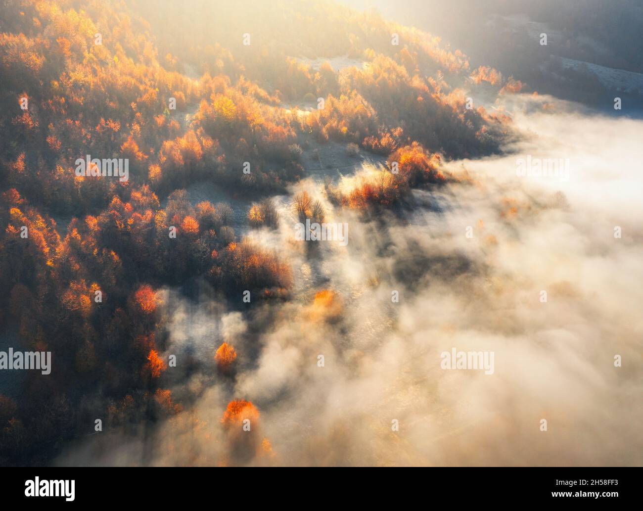Luftaufnahme des Bergwaldes in niedrigen Wolken bei Sonnenaufgang im Herbst Stockfoto