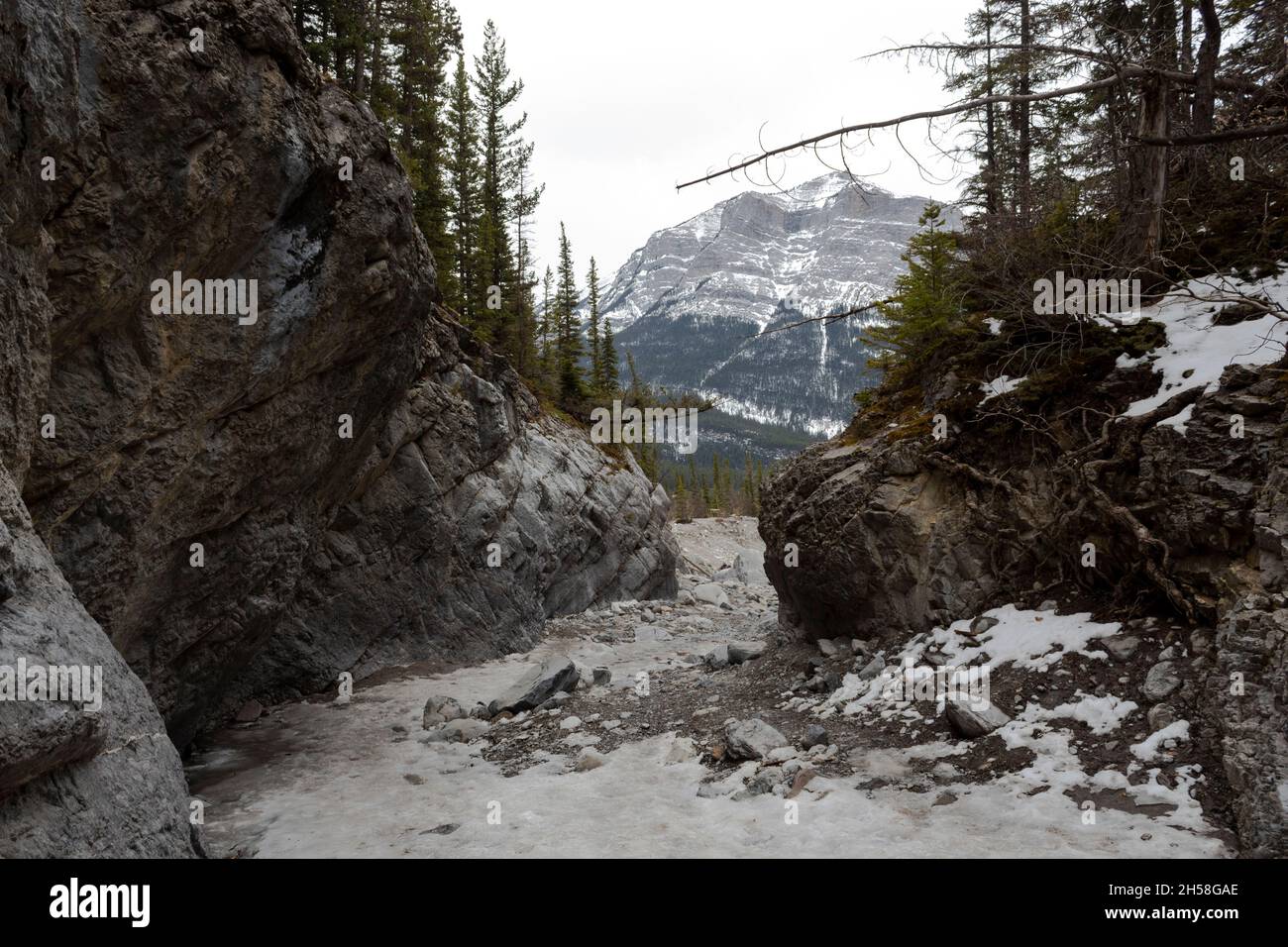 Blick zwischen Felsen auf den Bergen, Berge in der Ferne, Höhe, Bäume, bedeckt, Winter zu sehen Stockfoto