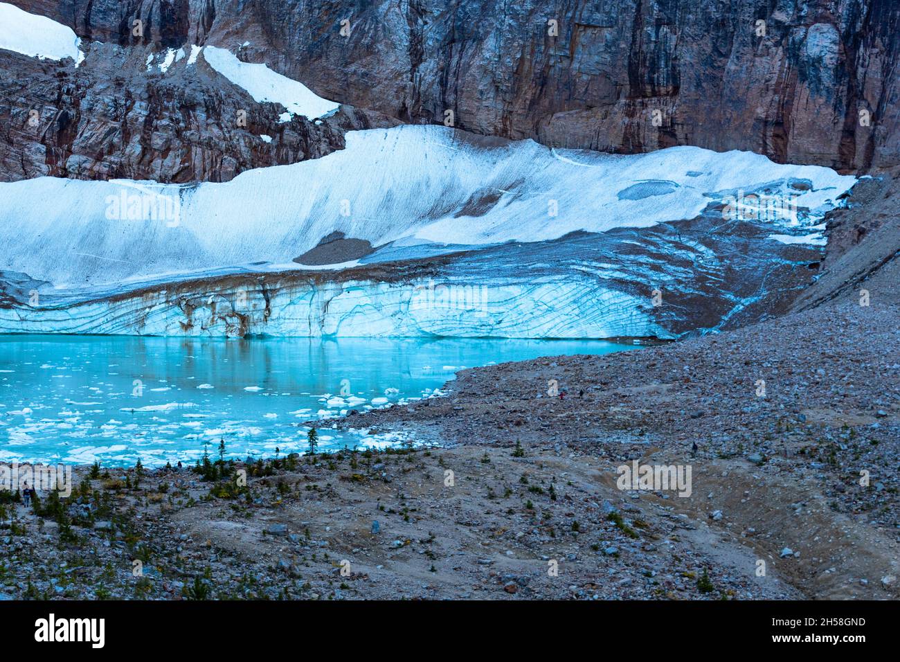 Sehr blauer See am Fuße des Angel Glacier in den kanadischen Rocky Mountains Stockfoto