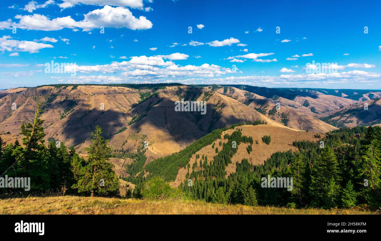 Hells Canyon National Recreation Area, Oregon und Idaho, USA Stockfoto