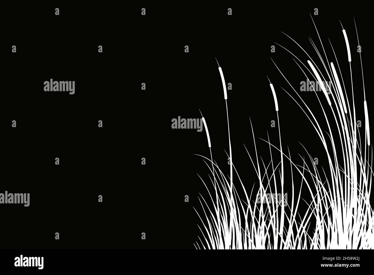 Schwarze Silhouette von Schilf.Vektordarstellung.Säge, Stock, Schwarm oder Gras auf weißem Hintergrund. Stock Vektor