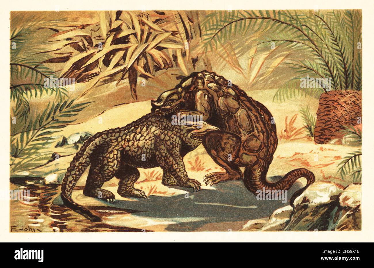 Kampf zwischen einem Megalosaurus bucklandii und Iguanodon bernissartensis. Megalosaurus, Gattung großer fleischfressender Theropoden-Dinosaurier des Mitteljura. Iguanodon, Gattung des iguanodontischen Dinosauriers aus dem späten Jura bis in die frühe Kreidezeit. Kampf zwischen Megalosaurus und Iguanodon. Farblich gedruckte Illustration von F. John aus Wilhelm Bolsches Tiere der Urwelt, Reichardt Cocoa Company, Hamburg, 1908. Stockfoto