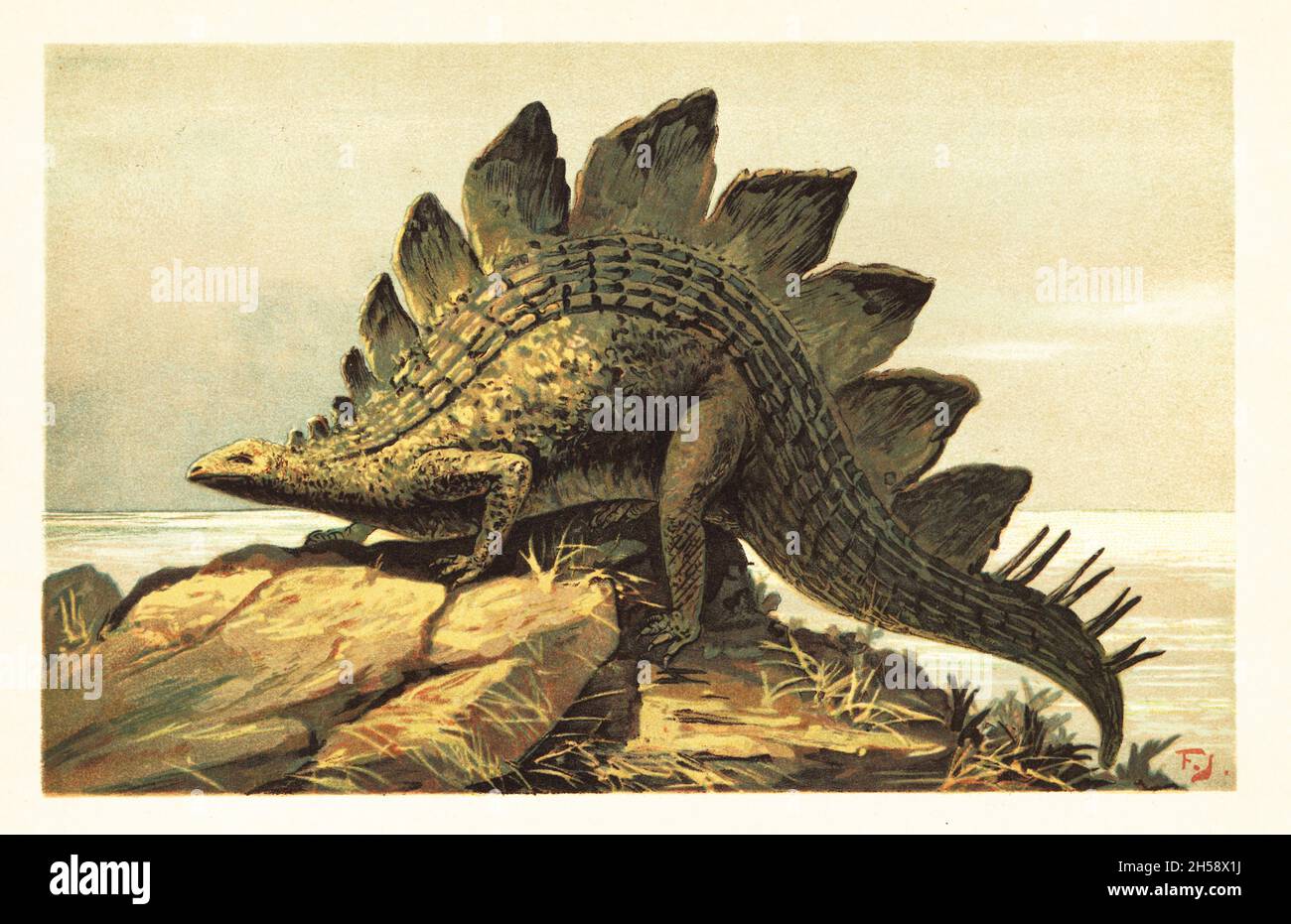 Stegosaurus, eine ausgestorbene Gattung pflanzenfressender, vierbeiniger, stegosaurischer Dinosaurier aus dem späten Jura. Stegosaurus ungulatus Marsh. Farblich gedruckte Illustration von F. John aus Wilhelm Bolsches Tiere der Urwelt, Reichardt Cocoa Company, Hamburg, 1908. Stockfoto