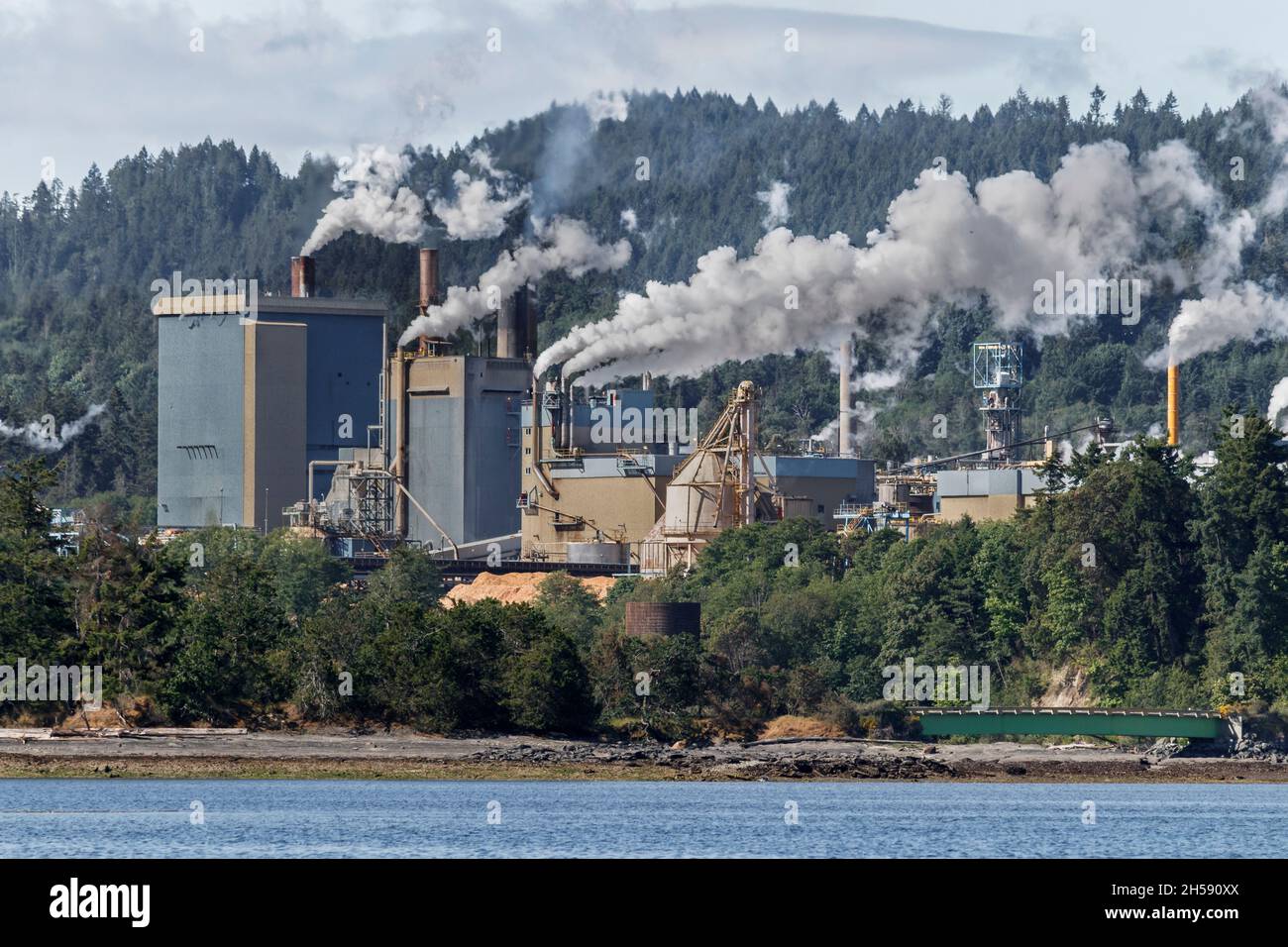 Rauch strömt aus den Schornsteinen der Zellstoff- und Papierfabrik Crofton, die sich am Wasser im Süden von Vancouver Island, British Columbia, befindet. Stockfoto