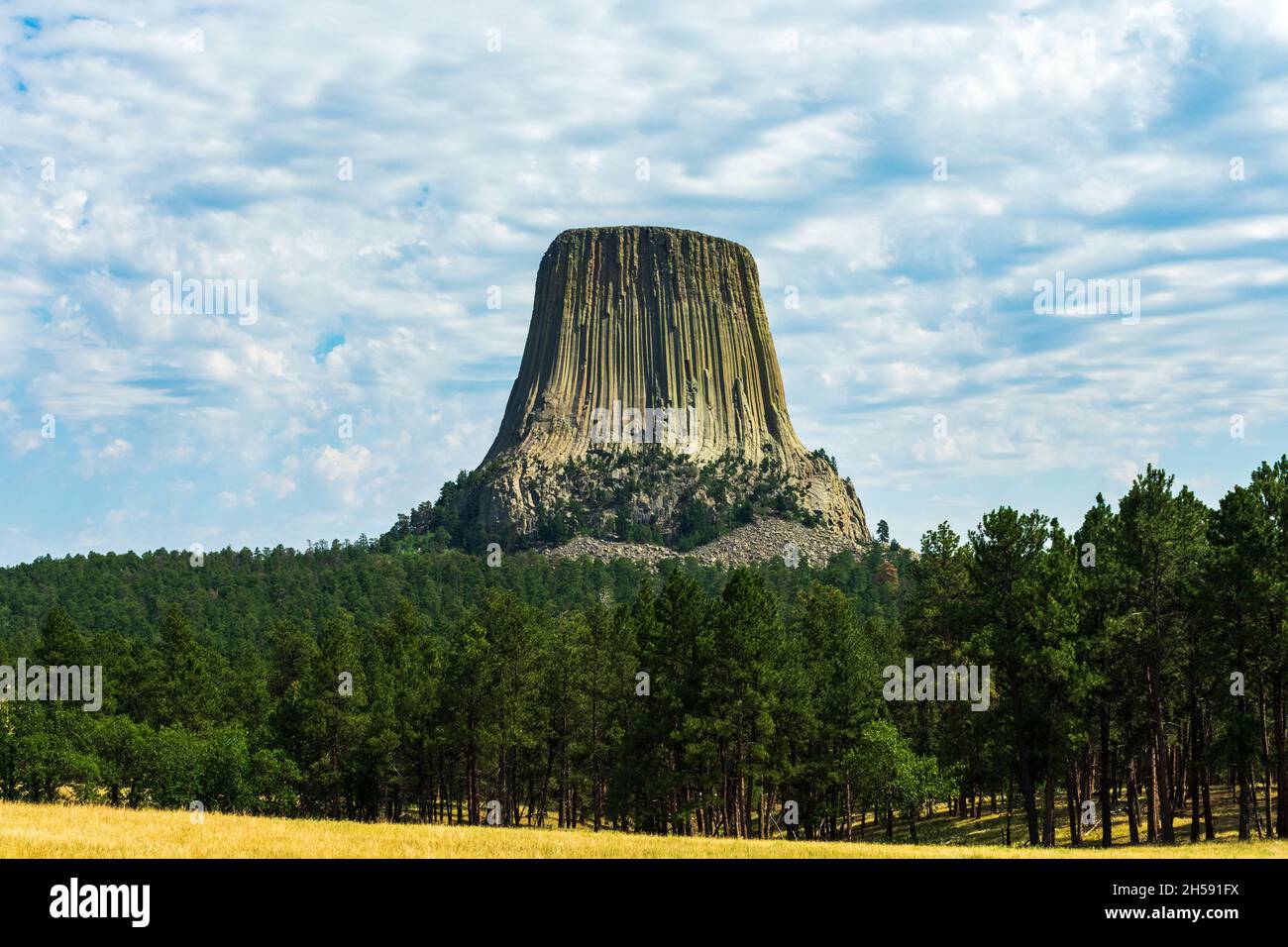 Wunderschöne Wälder umgeben den charakteristischen Turm am Devils Tower National Monument, Wyoming Stockfoto