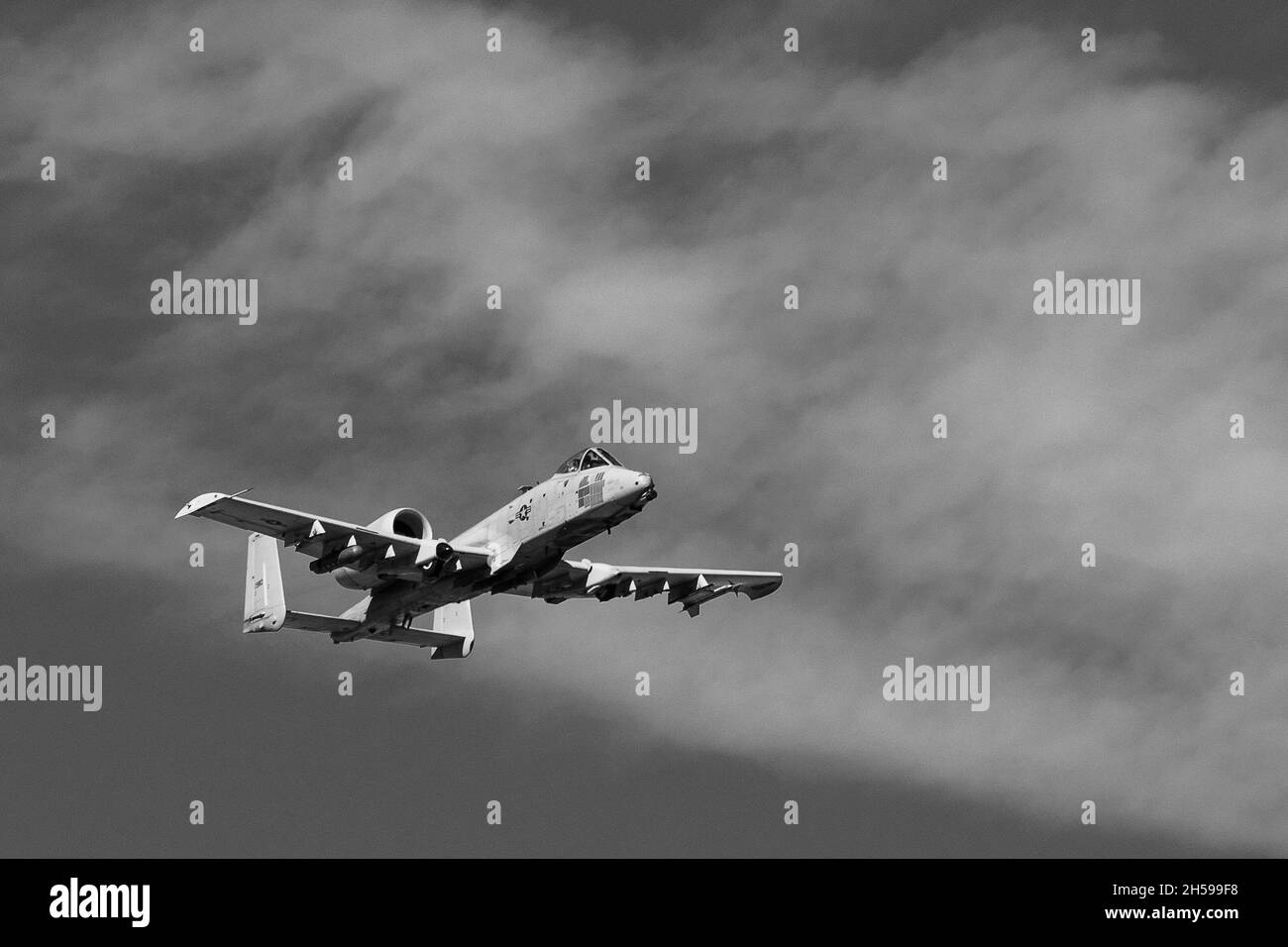 US Air Force Jet Aircraft A-10 Thunderbolt II, A/k/A 'Warthog' oder 'Hog'--Davis-Monthan AFB, Tucson, Arizona--Black and White Stockfoto