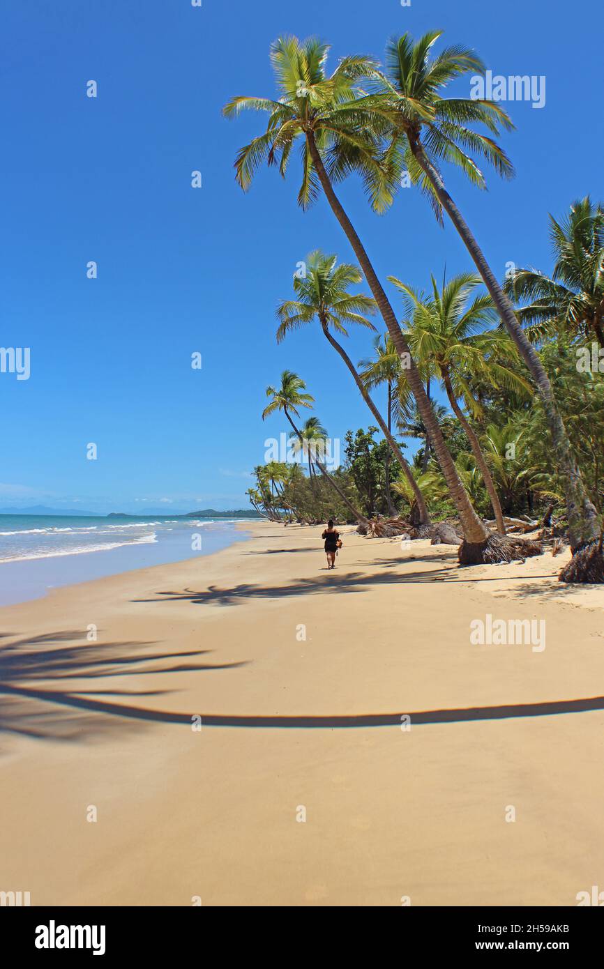 Mission Beach ist perfekt an schönen Tagen wie diesem für einen Spaziergang im Sand und ein Bad im Wasser an den Netzen Stockfoto