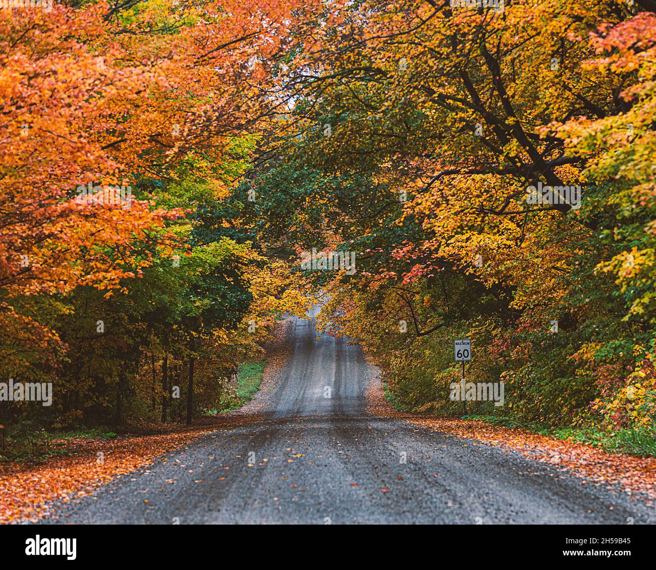 Die Schönheit des nördlichen Ontario Stockfoto