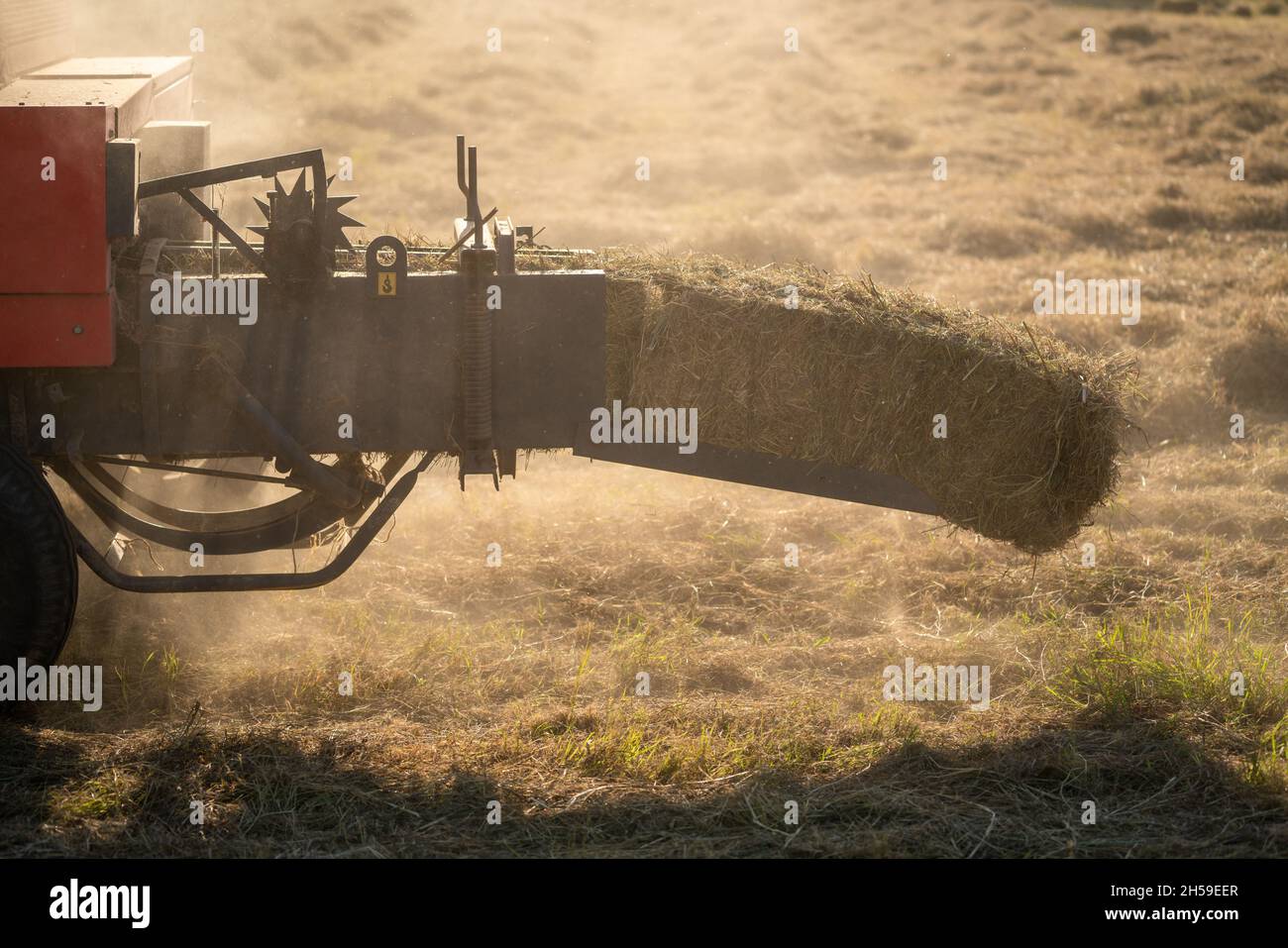 Landwirtschaftliche Industrie, Grasernten Maschinen oder Grassverdichter im Feld. Tierfutter. Stockfoto
