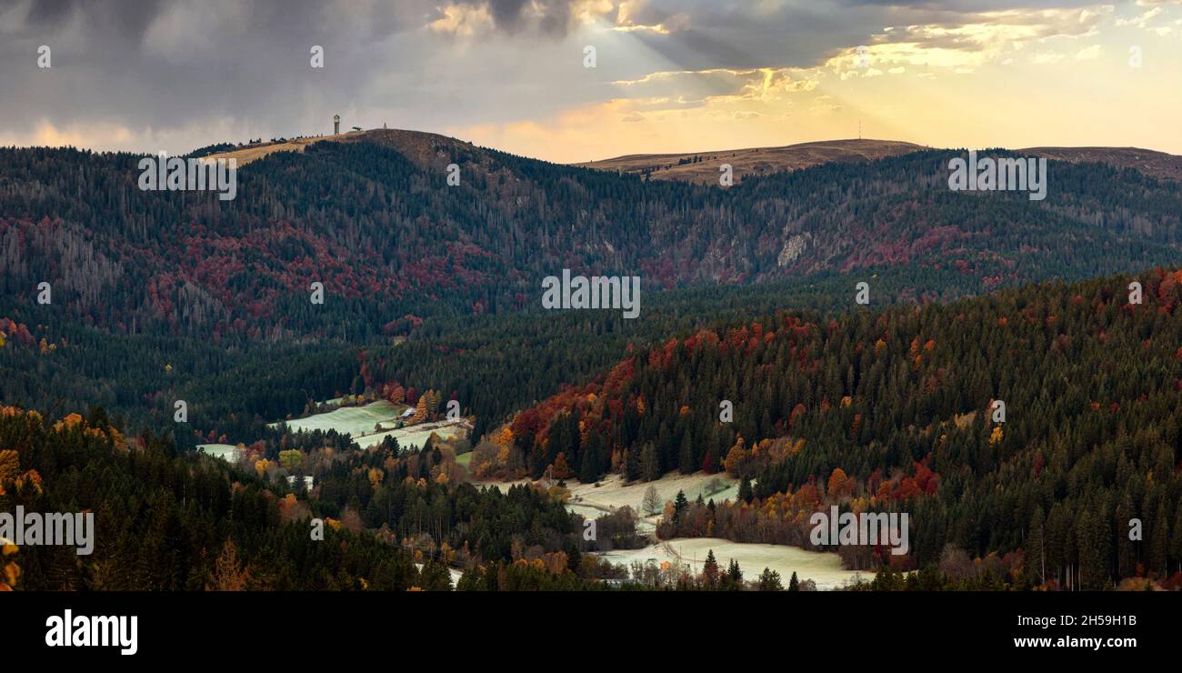 Blick über den Bärental auf den Feldberggipfel im Herbst im Schwarzwald Stockfoto