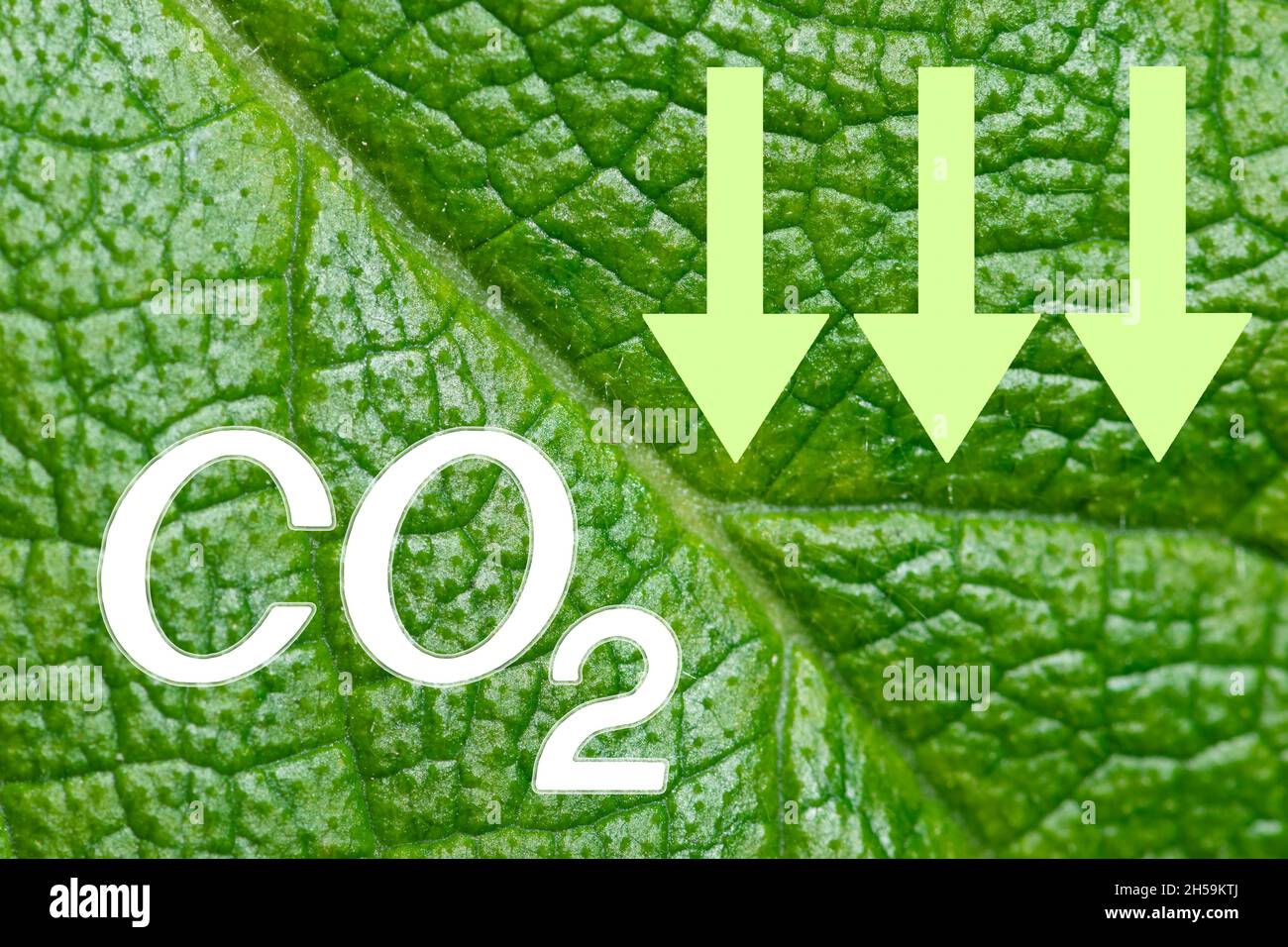 CO2-Kohlendioxid-Zeichen und Pfeile nach unten auf grünem Blatthintergrund. CO2-Reduktionskonzept. Rette das Konzept des Planeten Stockfoto