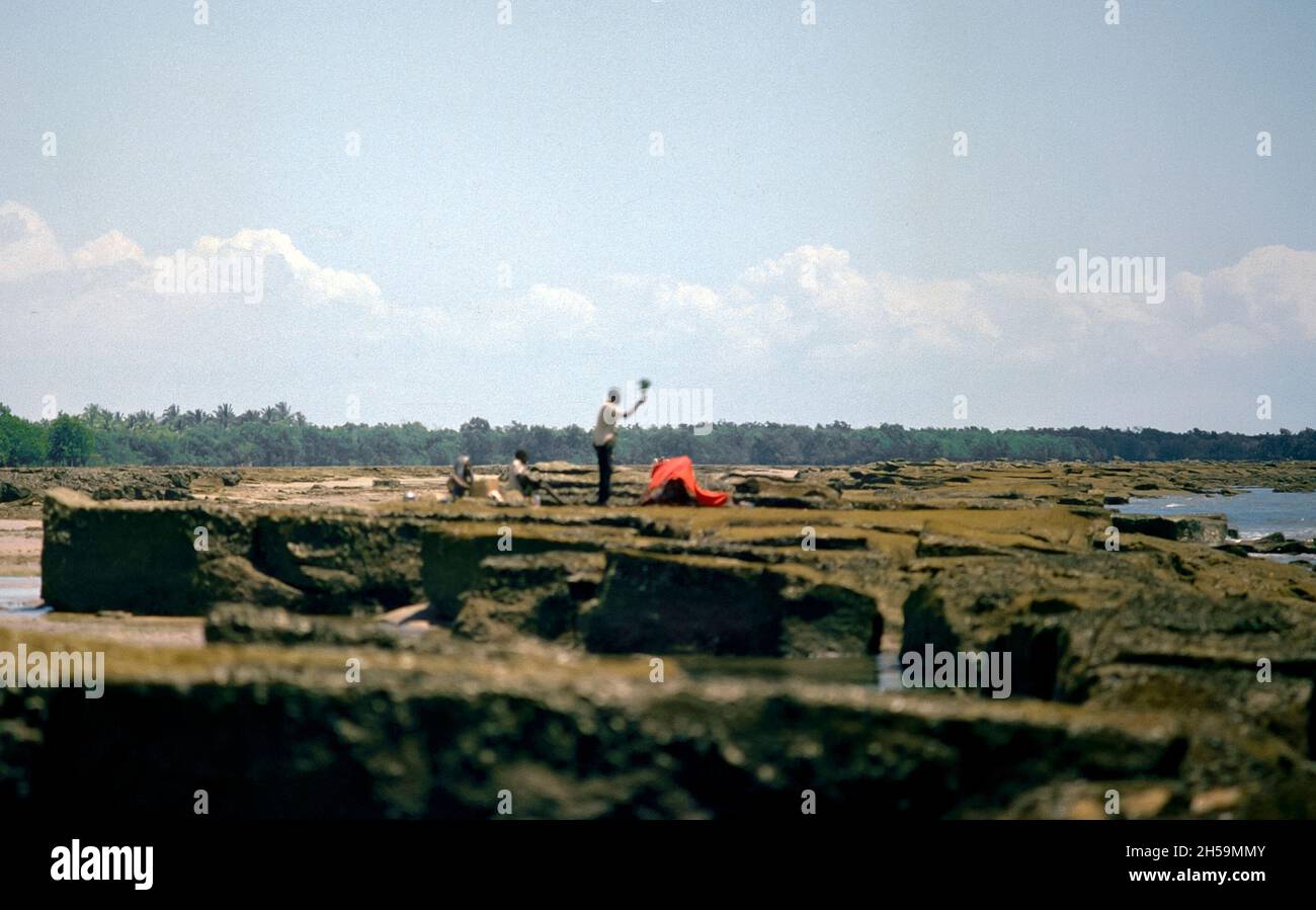 Afrika, Tansania, 1976. Bagamoyo. Bei einem Heilungsritual wird ein lebendes Huhn über den Kopf der Frau geschwenkt, die sich unter einem roten Tuch befindet, während sie auf das Meer blickt. Stockfoto