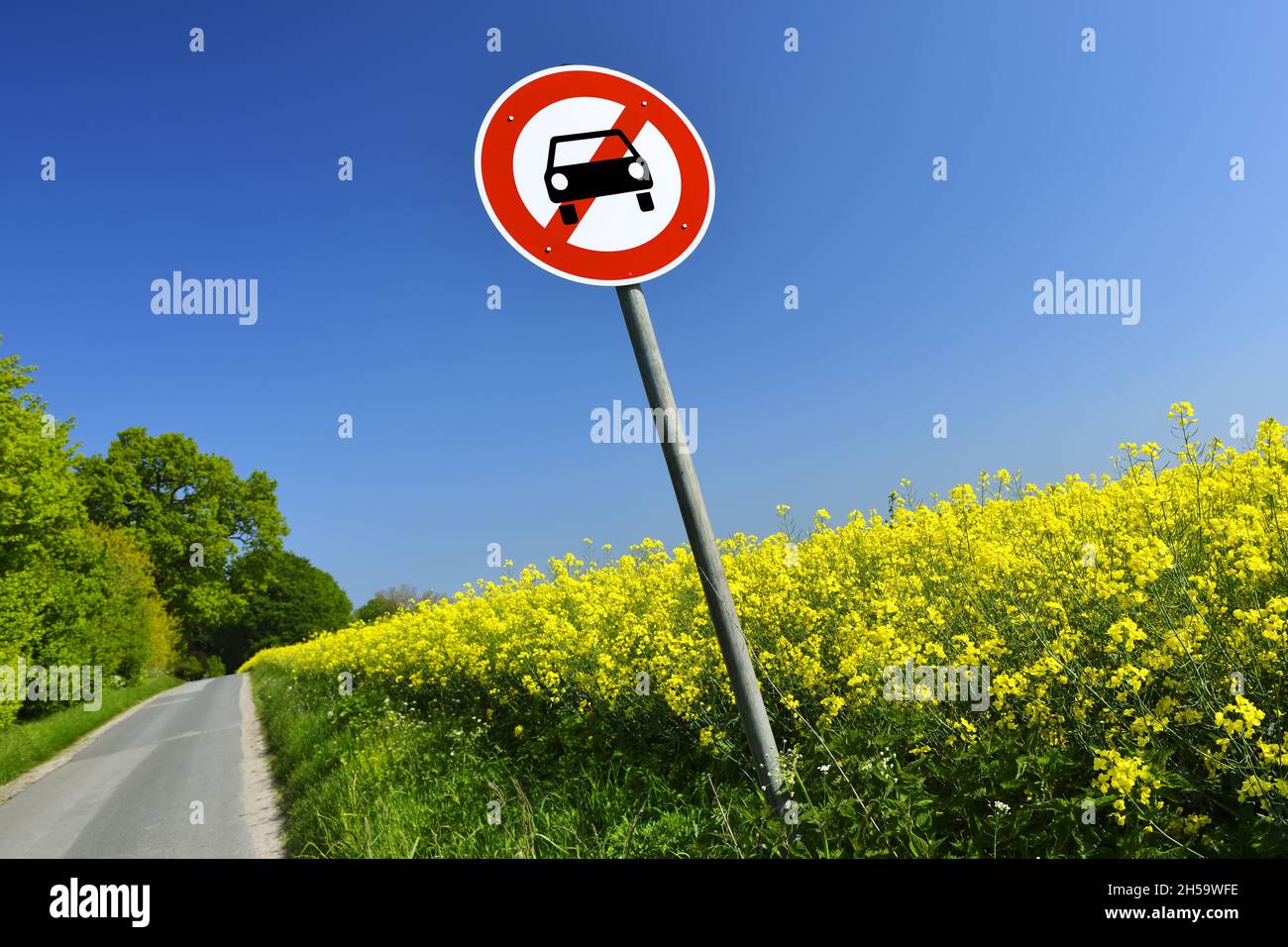 FOTOMONTAGE, Straße mit Auto-Verbotsschild, ab 2035 kein Verkauf von Fahrzeugen mit Verbrennungsmotoren in der EU Stockfoto