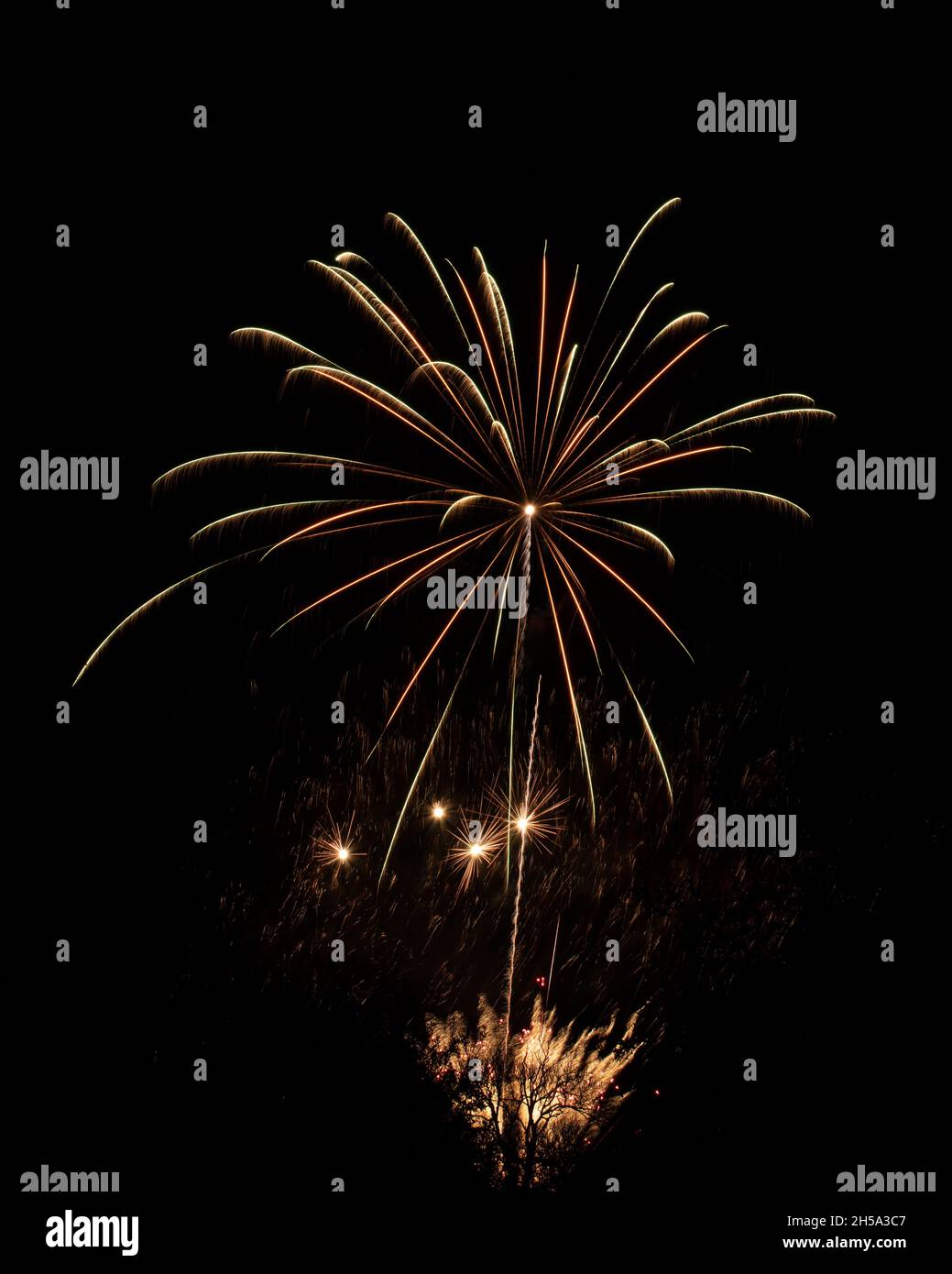 Portrait Orientierung explodierende Feuerwerk-Raketen in der Nacht. Feier, 5. November. Stockfoto