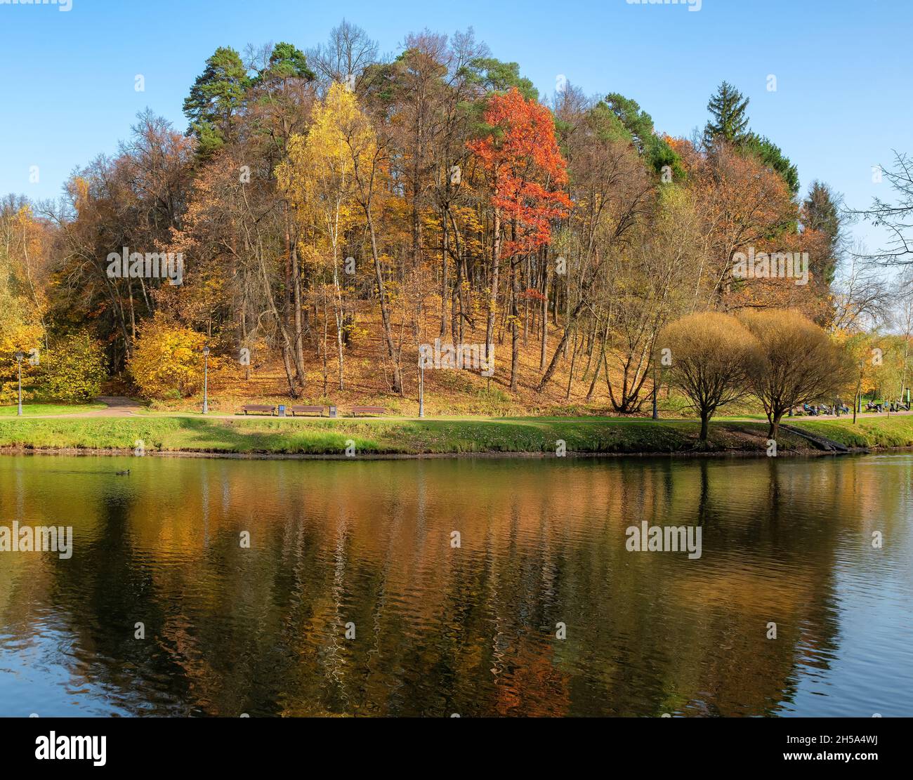 Herbstlandschaft. Herbstbäume mit bunten Blättern spiegeln sich im See. Stockfoto