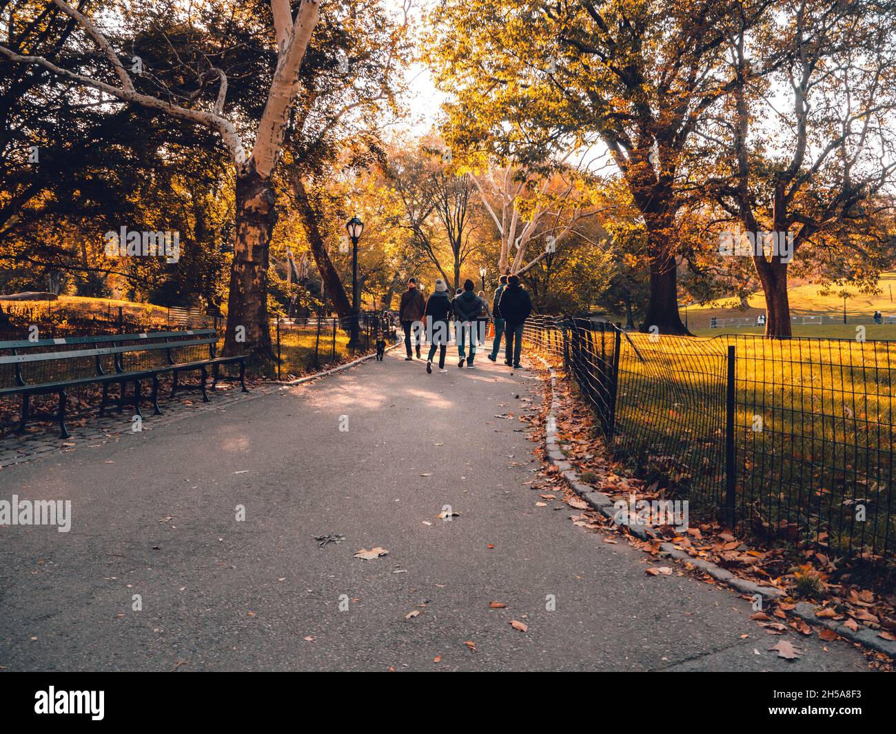 Central Park ist ein Moment an einem sonnigen Tag in New York City Stockfoto