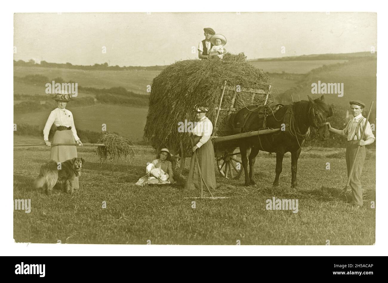 Ursprünglich aus den frühen 1900er Jahren gegrüßte Edwardian Farm Grußes Postkarte von Menschen in einem Feld, die sonntags beste Kleidung tragen, Heu, Pferd und Wagen bringen, um 1901, Großbritannien Stockfoto