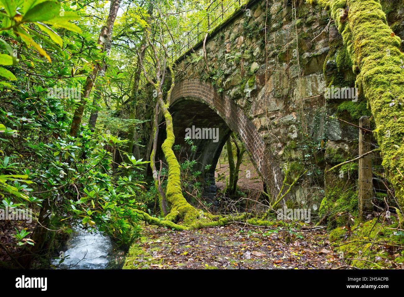 Afon Rhaiadr Nutzte Das Eisenbahnviadukt Nicht Mehr Stockfoto
