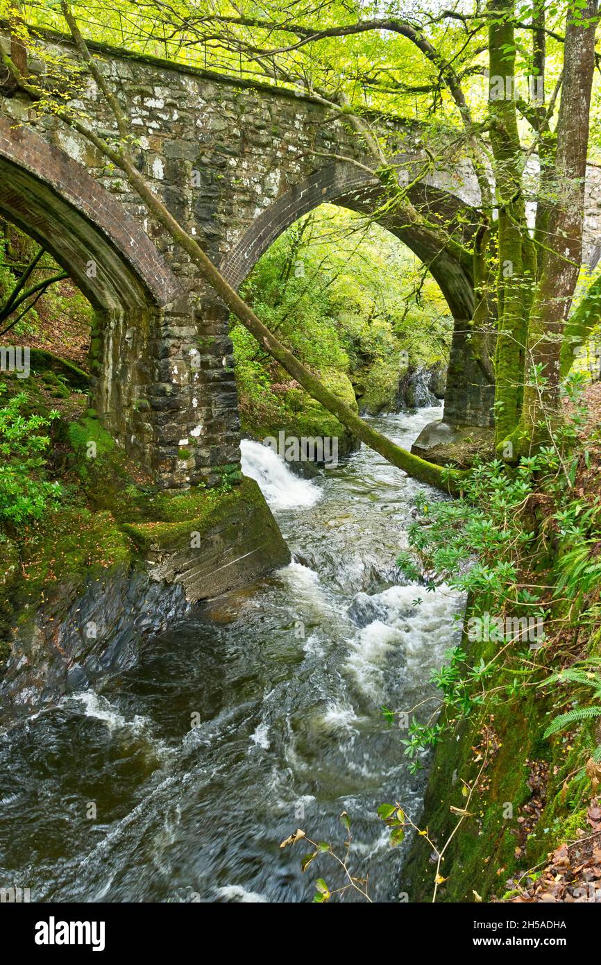 Afon Rhaiadr Nutzte Das Eisenbahnviadukt Nicht Mehr Stockfoto