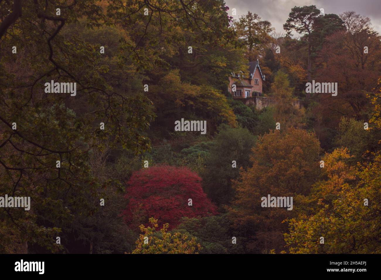 Alton Towers Gardens im Herbst. Stockfoto