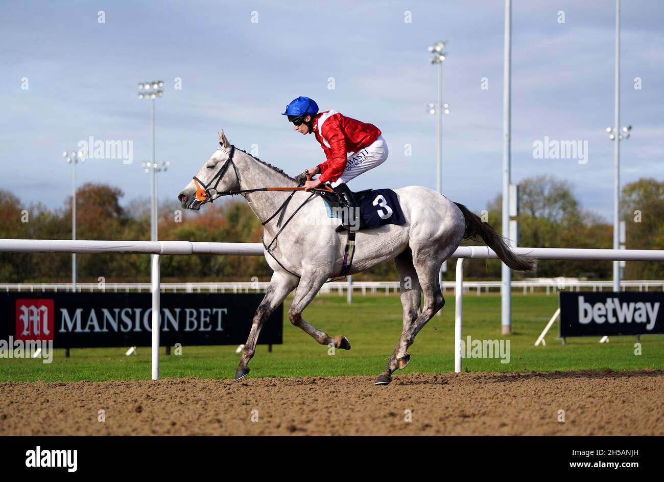 Anatomisch geritten von Jockey Luke Morris nach dem Gewinn des Coral Proud to Support British Racing Maiden Stakes auf der Rennbahn Wolverhampton. Bilddatum: Montag, 8. November 2021. Stockfoto