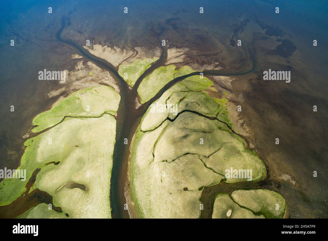 Luftaufnahme des Endes eines kleinen Flusses in Vatsnes, der in die Lagune Sigridarstadavatn, Nordwest-Region, Island fließt Stockfoto