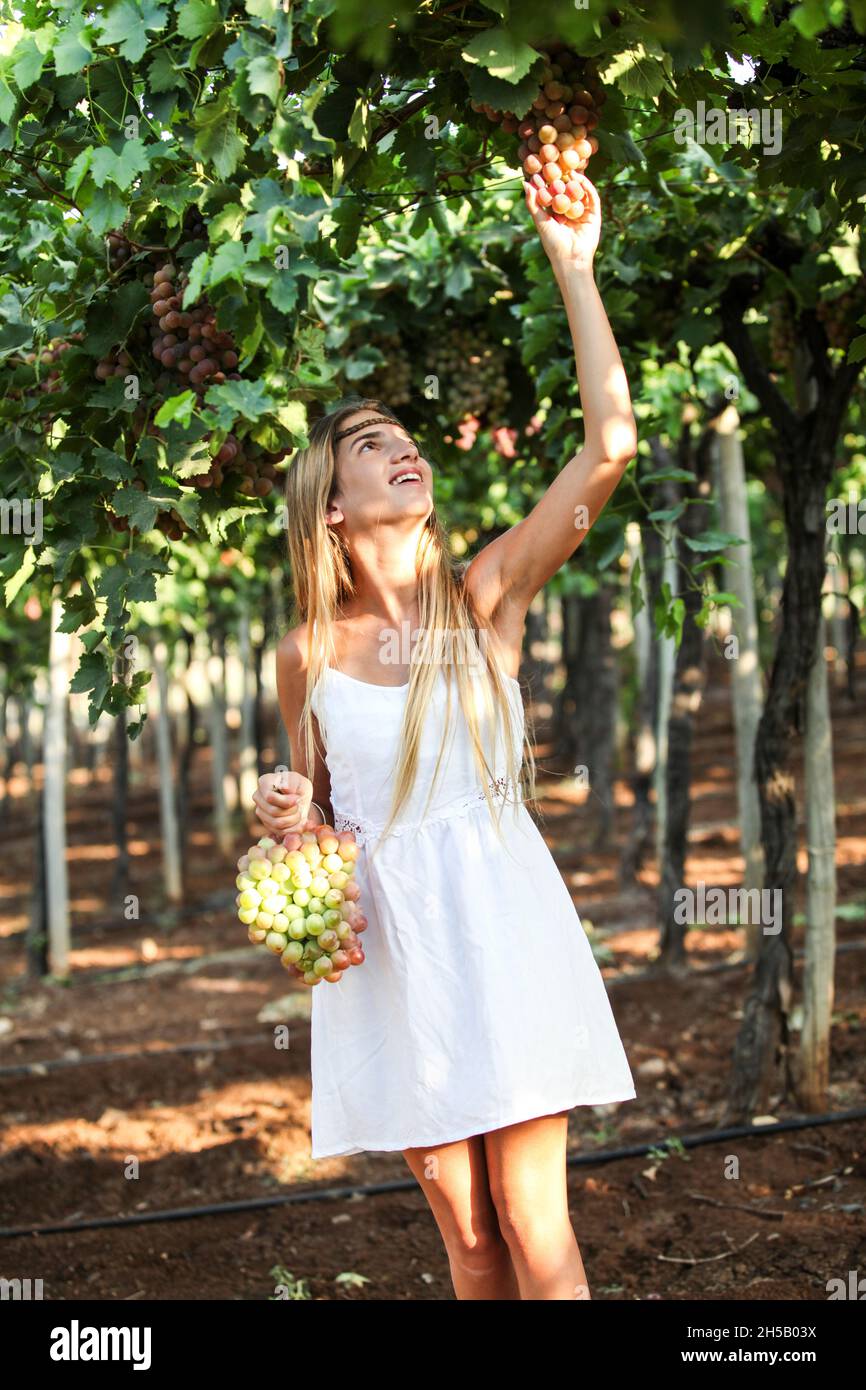 Junge Teen-Mädchen im weißen Kleid nimmt Trauben im Weinberg Stockfoto