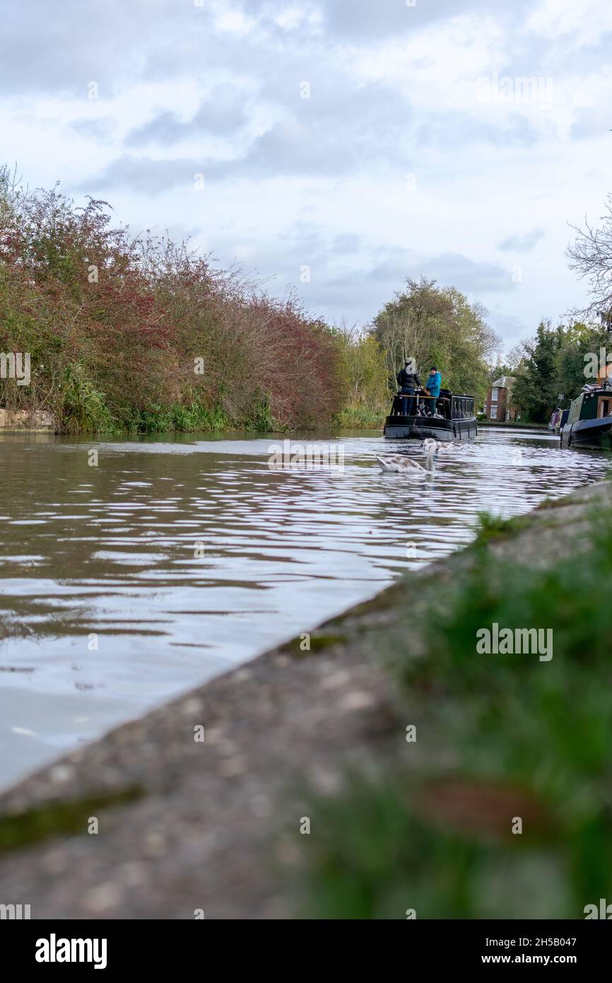 Braunston Marina, Northamptonshire, UK Stockfoto