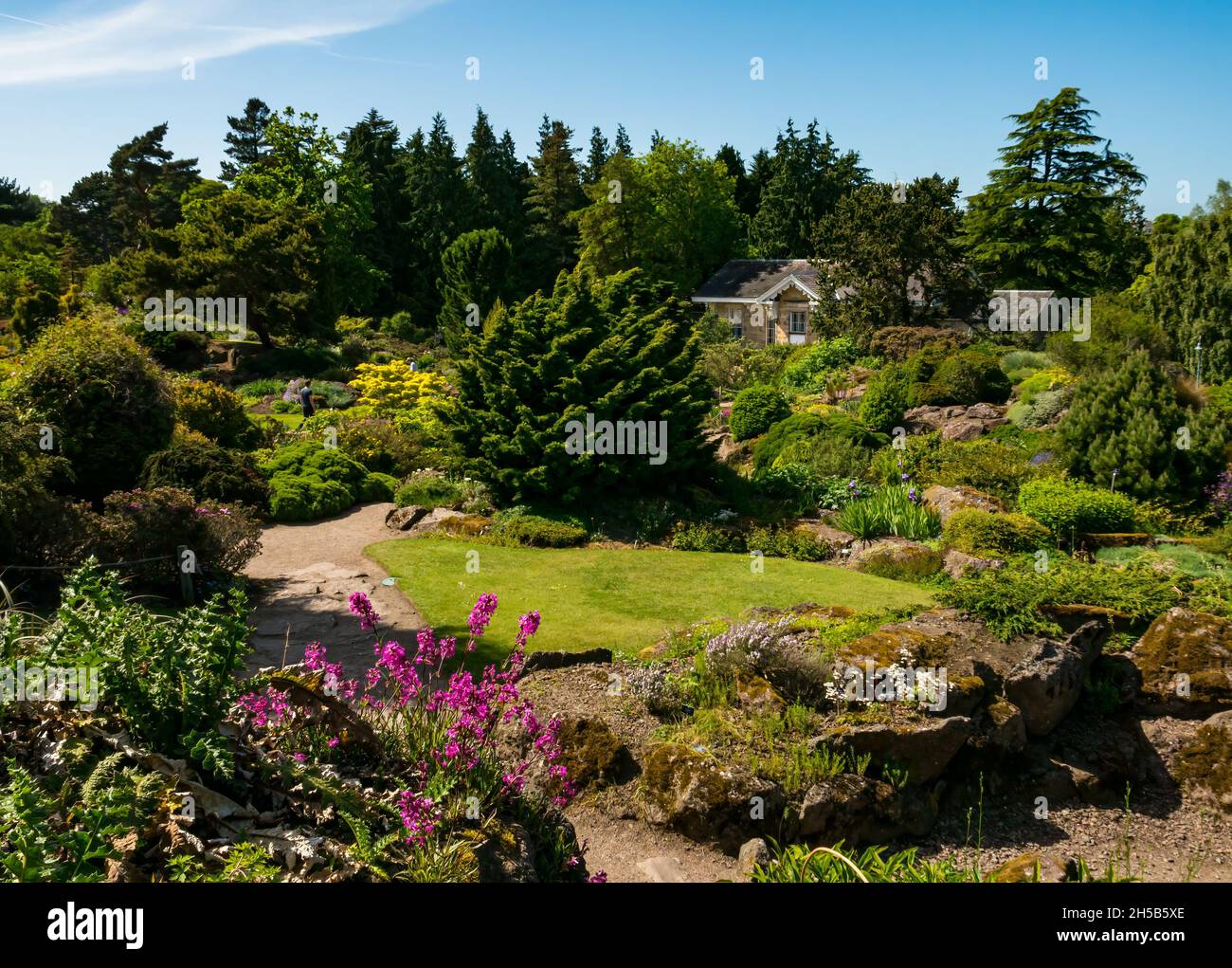 Blumen und Pflanzen im Steingarten an sonnigen Tagen, Royal Botanic Garden, Edinburgh, Schottland, Großbritannien Stockfoto