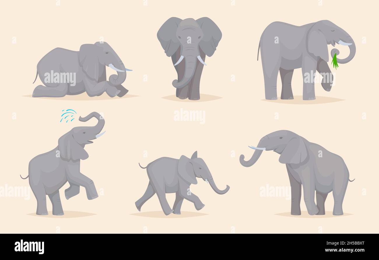 Elefant. Niedliche afrikanische Wildtiere große starke Savannenelefanten in verschiedenen Posen exakte Vektor-Illustrationen Stock Vektor