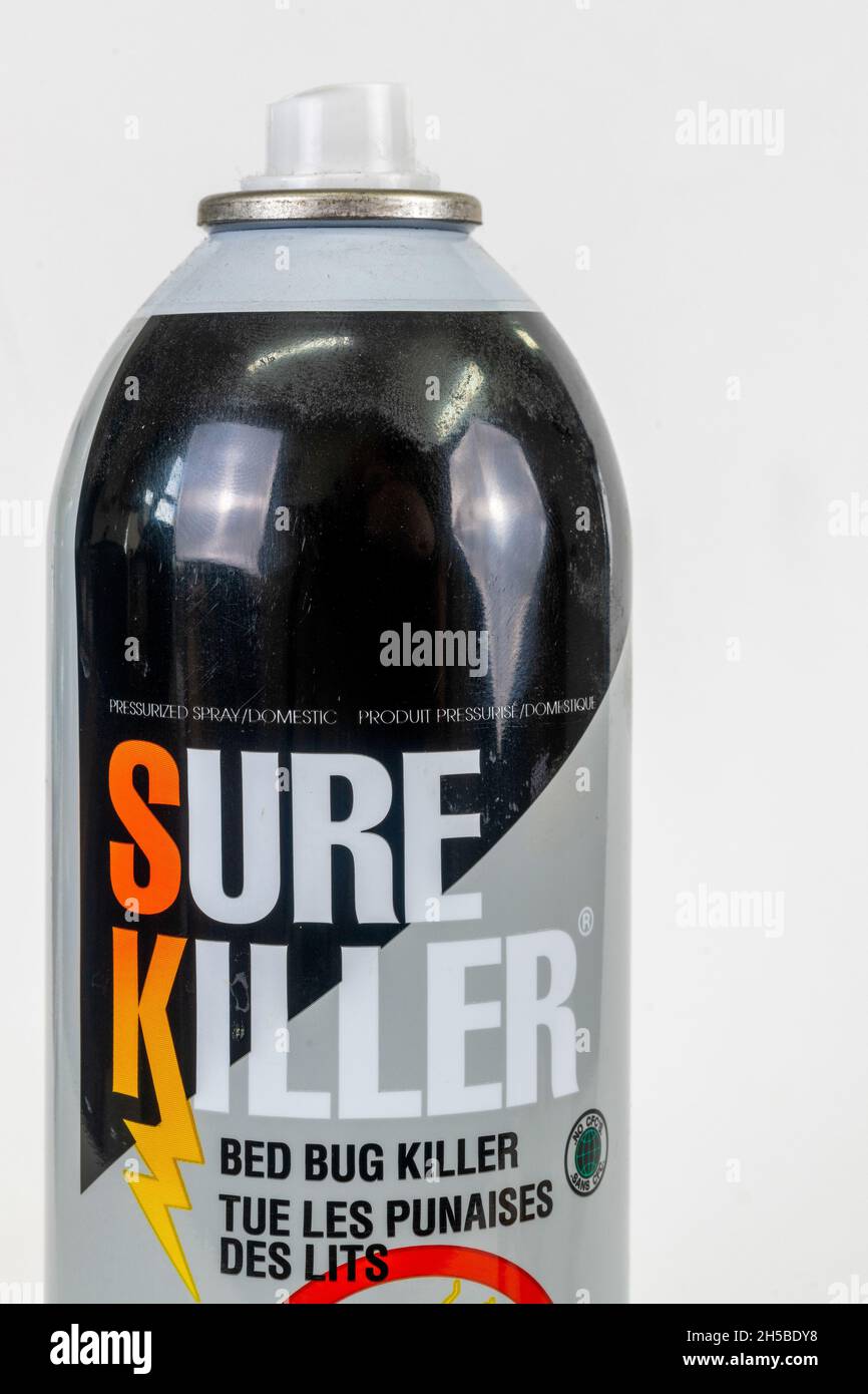 Spray-Container von Sure Killer, die entworfen ist, um Bettwanzen zu töten.Nov. 7, 2021 Stockfoto