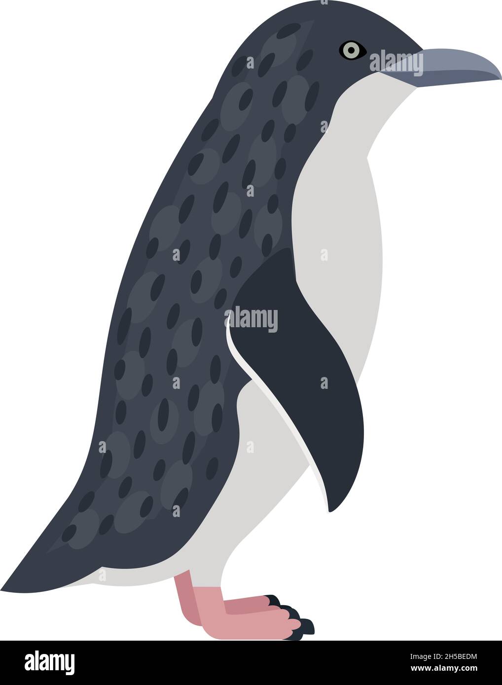 Antarktischer Pinguin. Cartoon-Säugetier der Winternatur, Vogel auf Eisberg, Symbol der Kälte, Vektor-Illustration des Kaiserpinguins isoliert auf weißem Hintergrund Stock Vektor