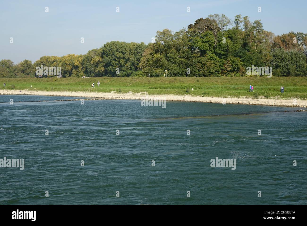 Ostrheinküste vom Fluss aus gesehen an einem kalten und sonnigen Herbsttag, Maxau, Karlsruhe, Baden-Württemberg, Deutschland Stockfoto