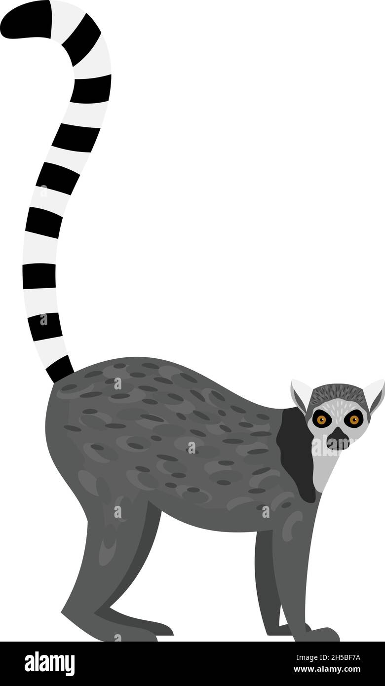 Tropischer Lemur. Cartoon lustige Affen, träge niedlichen Tier, Vektor-Illustration von faul pelzigen exotischen Charakter von madagaskar auf weißem Hintergrund isoliert Stock Vektor