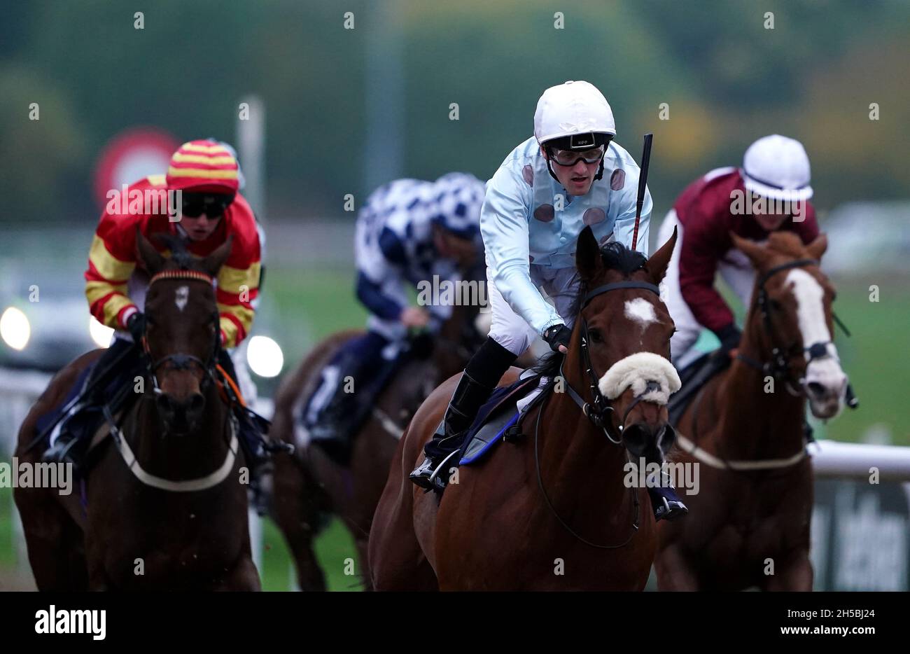 Aljaryaal, der von Jockey Harry Burns auf dem Weg zum Gewinn des Betway-Auszubildengehilfen-Handicaps auf der Rennbahn Wolverhampton gefahren wird. Bilddatum: Montag, 8. November 2021. Stockfoto