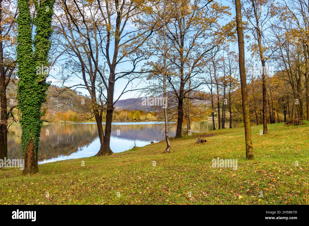 Herbstpark mit bunten Bäumen am Ufer des Ghirla-Sees, Valganna, Provinz Varese, Italien Stockfoto