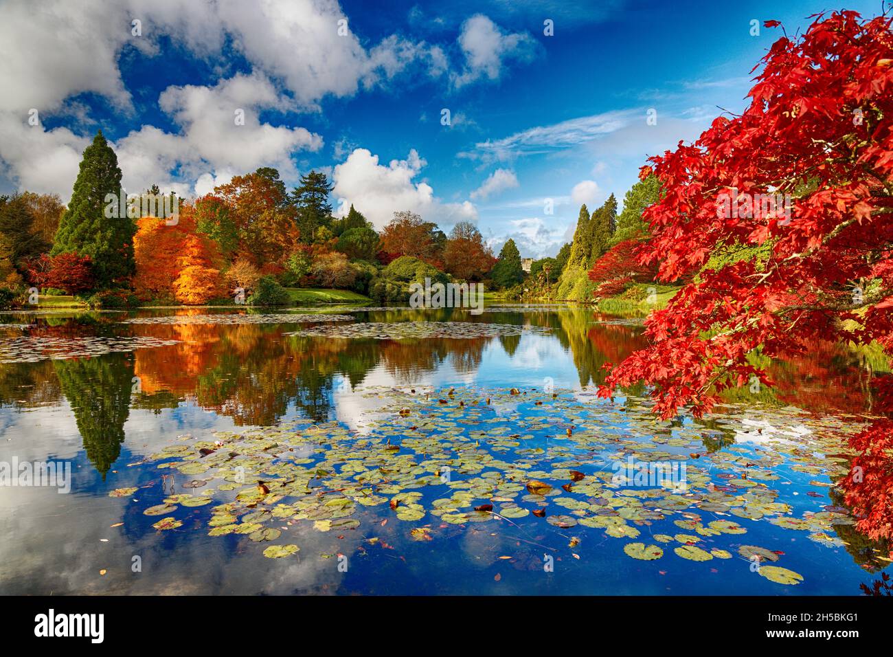 National Trust Sheffield Park Hayward’s Heath East Sussex UK Stockfoto