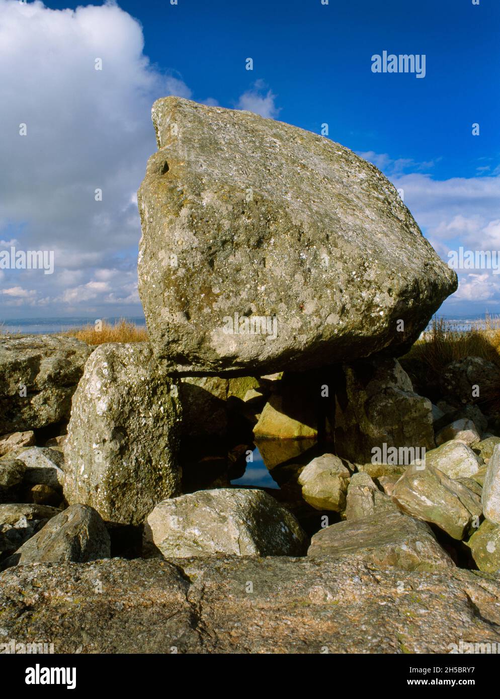 Sehen Sie N of Arthur's Stone Neolithische Grabkammer auf Cefn Bryn Common, Gower, Wales, Großbritannien. Der Kapstone ist ein 25-Tonnen-Eiserratisch aus Mühlstein-Körnung. Stockfoto