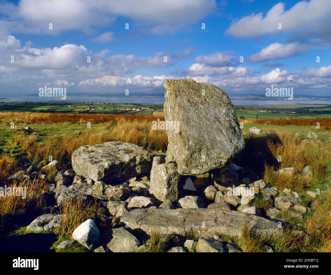 Sehen Sie N of Arthur's Stone Neolithische Grabkammer auf Cefn Bryn Common, Gower, Wales, Großbritannien. Der Kapstone ist ein 25-Tonnen-Eiserratisch aus Mühlstein-Körnung. Stockfoto