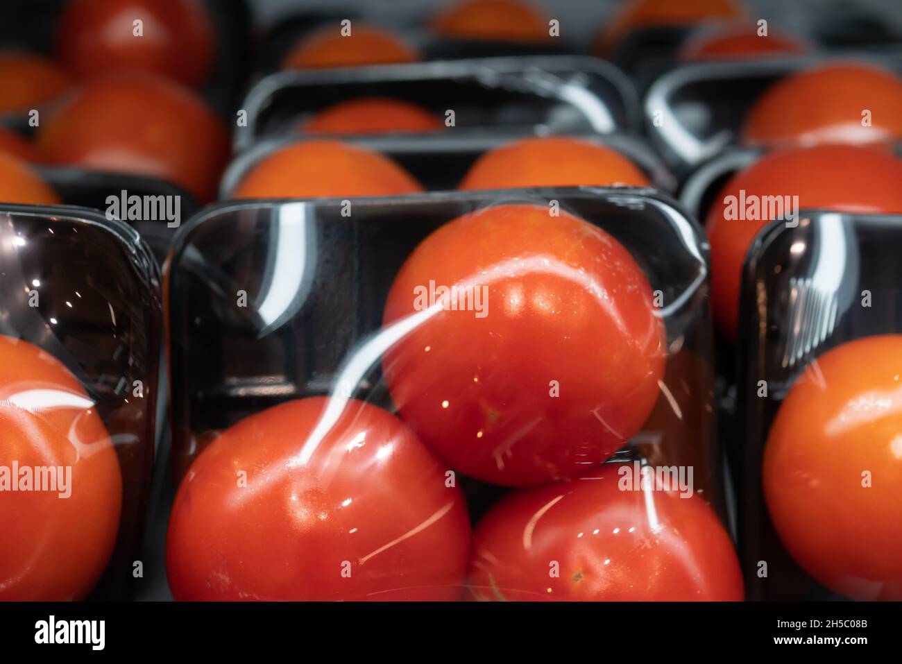 Tomaten in Kunststofftablett und Verpackungsfolie Stockfoto