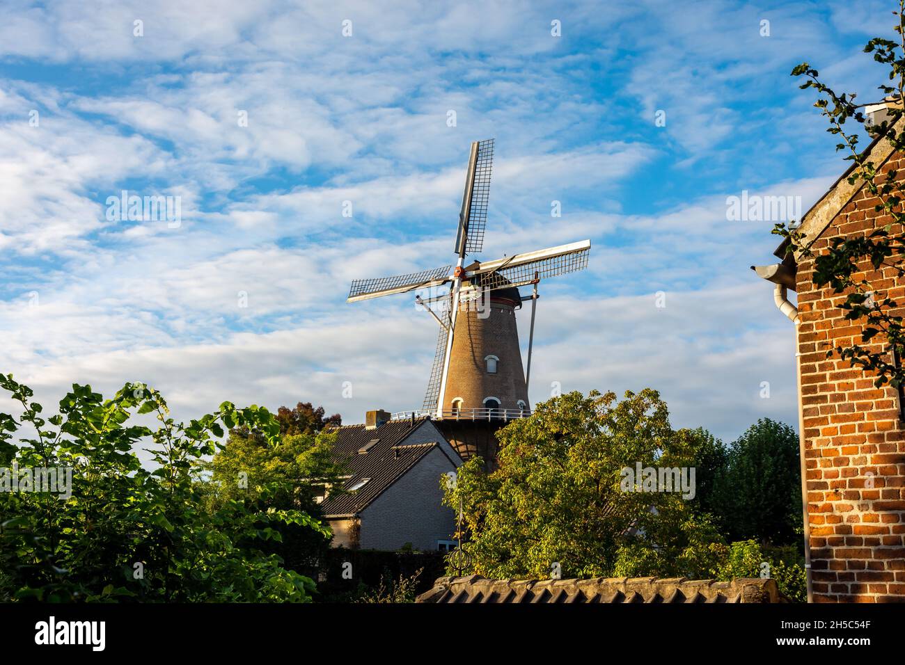 Traditionelle niederländische Windmühle namens de Nijverheid in der Stadt Ravenstein, Nordbrabant, Niederlande Stockfoto